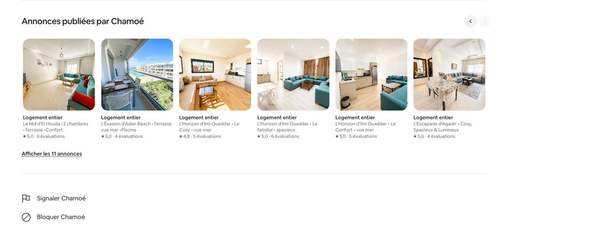 Annonces Airbnb de Chloé et Hicham